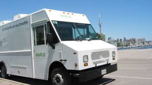 NE_MAPLE NE_MAPLE